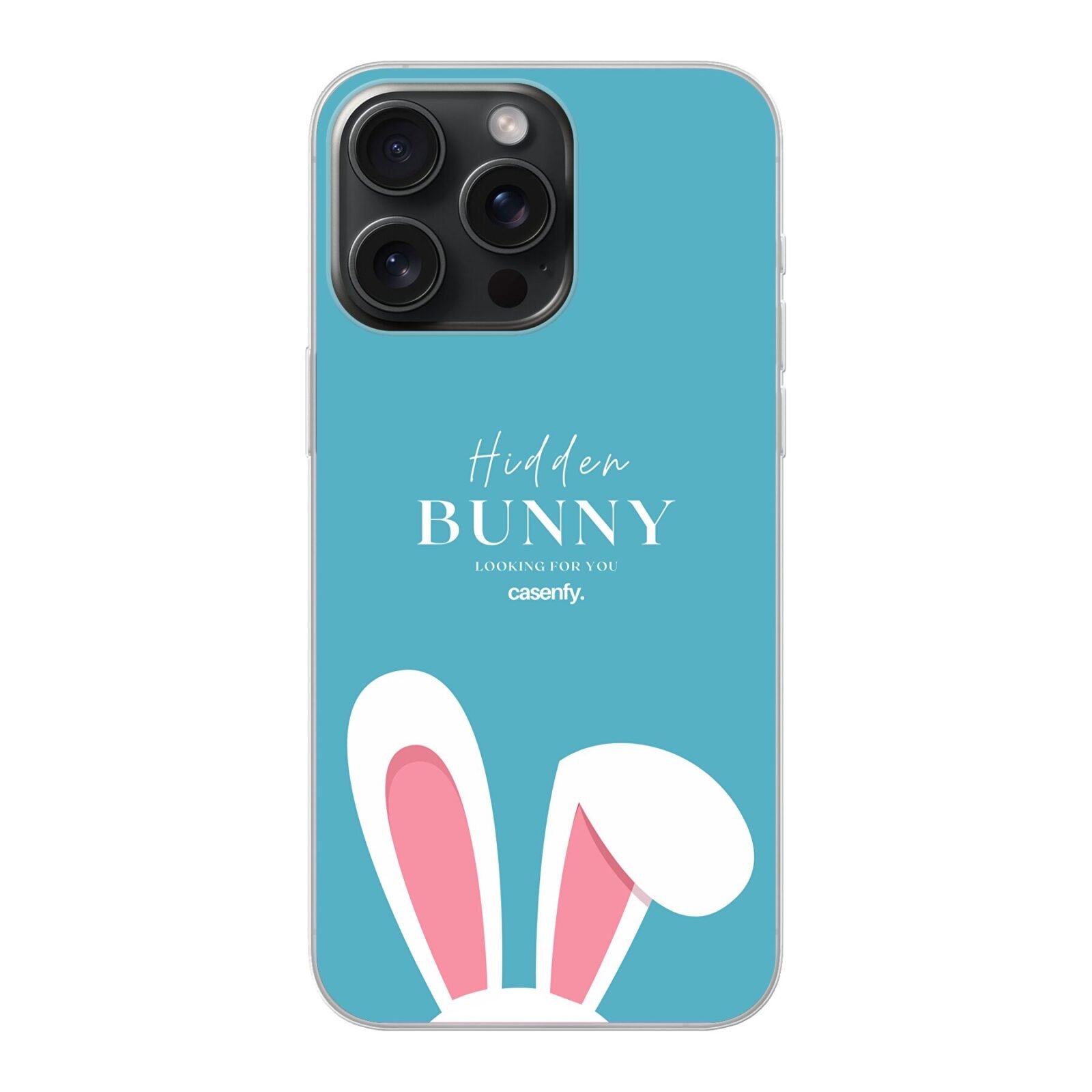 Hidden bunny