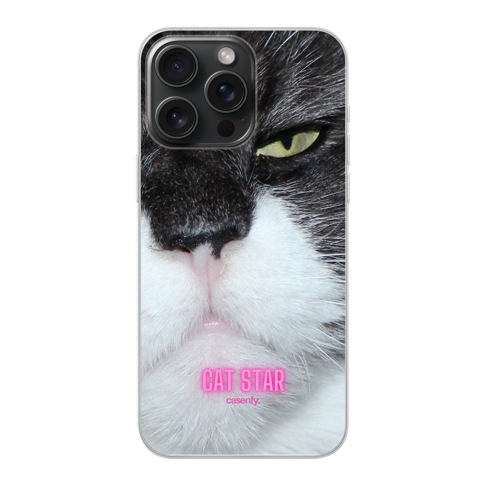 177000-B67020000.jpg Cat star