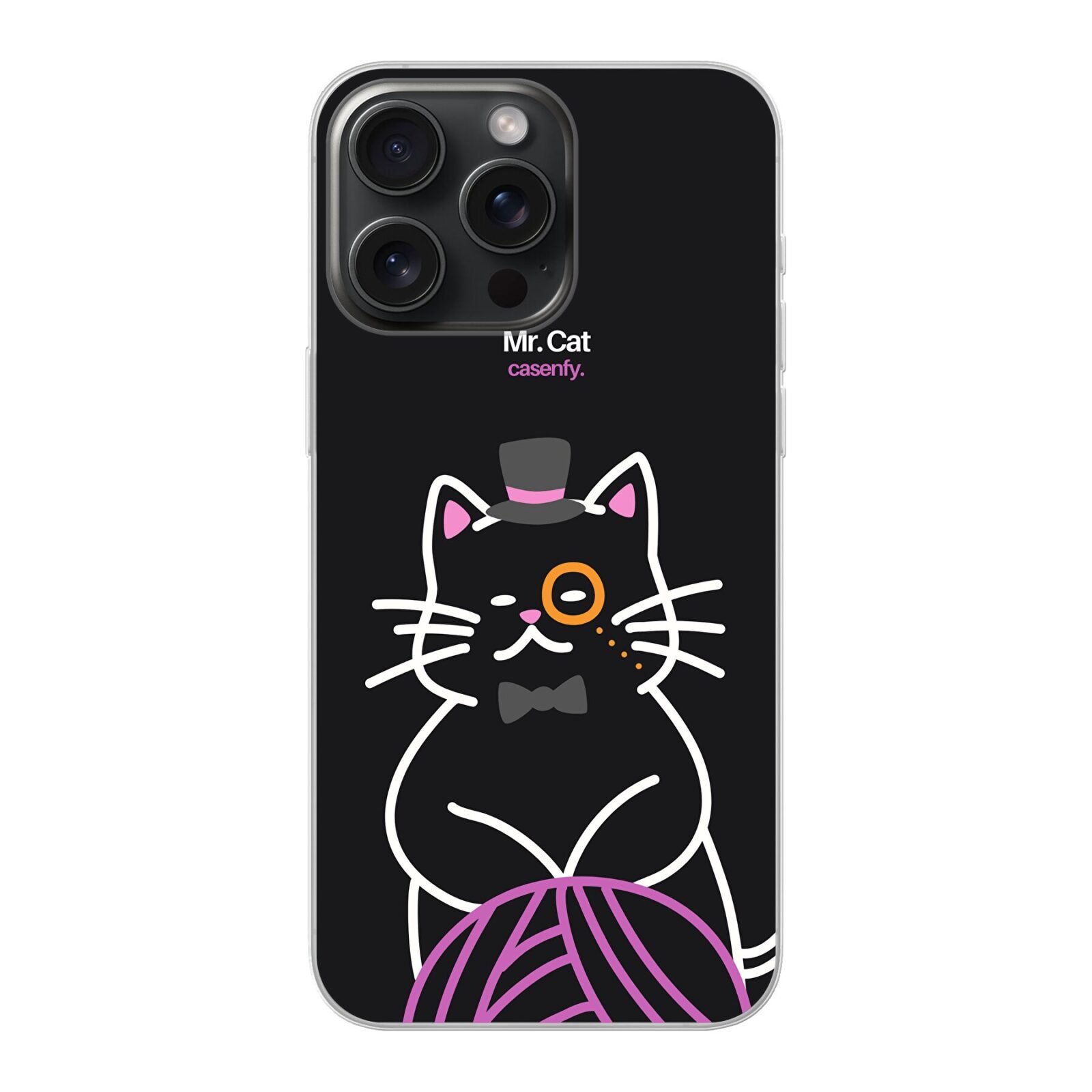 Mr. Cat