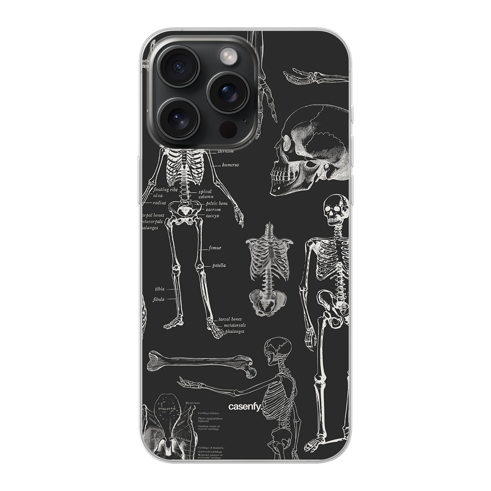 367497-B67020000.jpg Anatomy